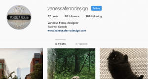 Vanessa Ferro Interior Design Services Toronto